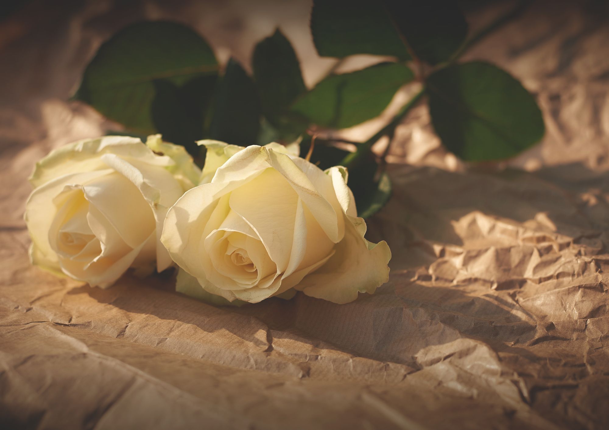 Blog banner Image