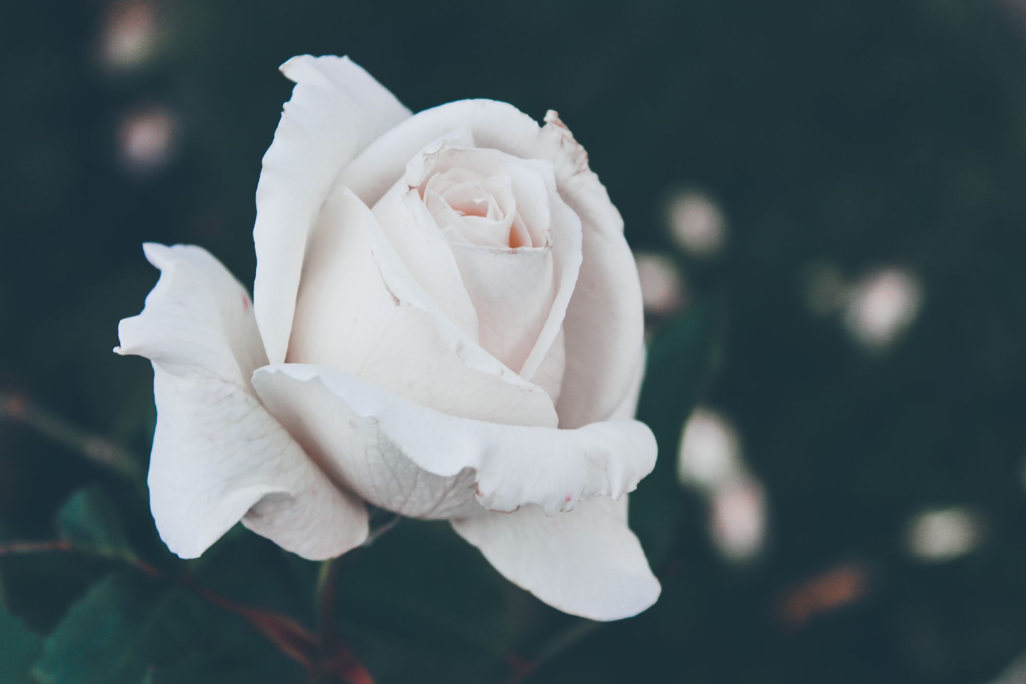 Blog banner Image