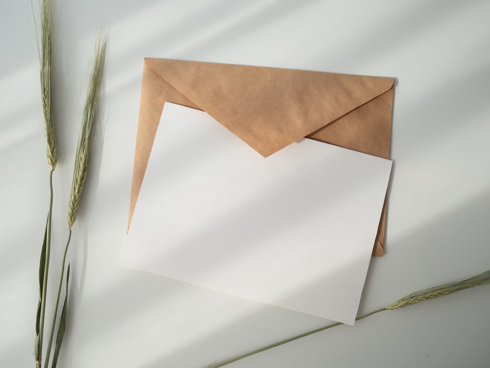 Blog banner Image