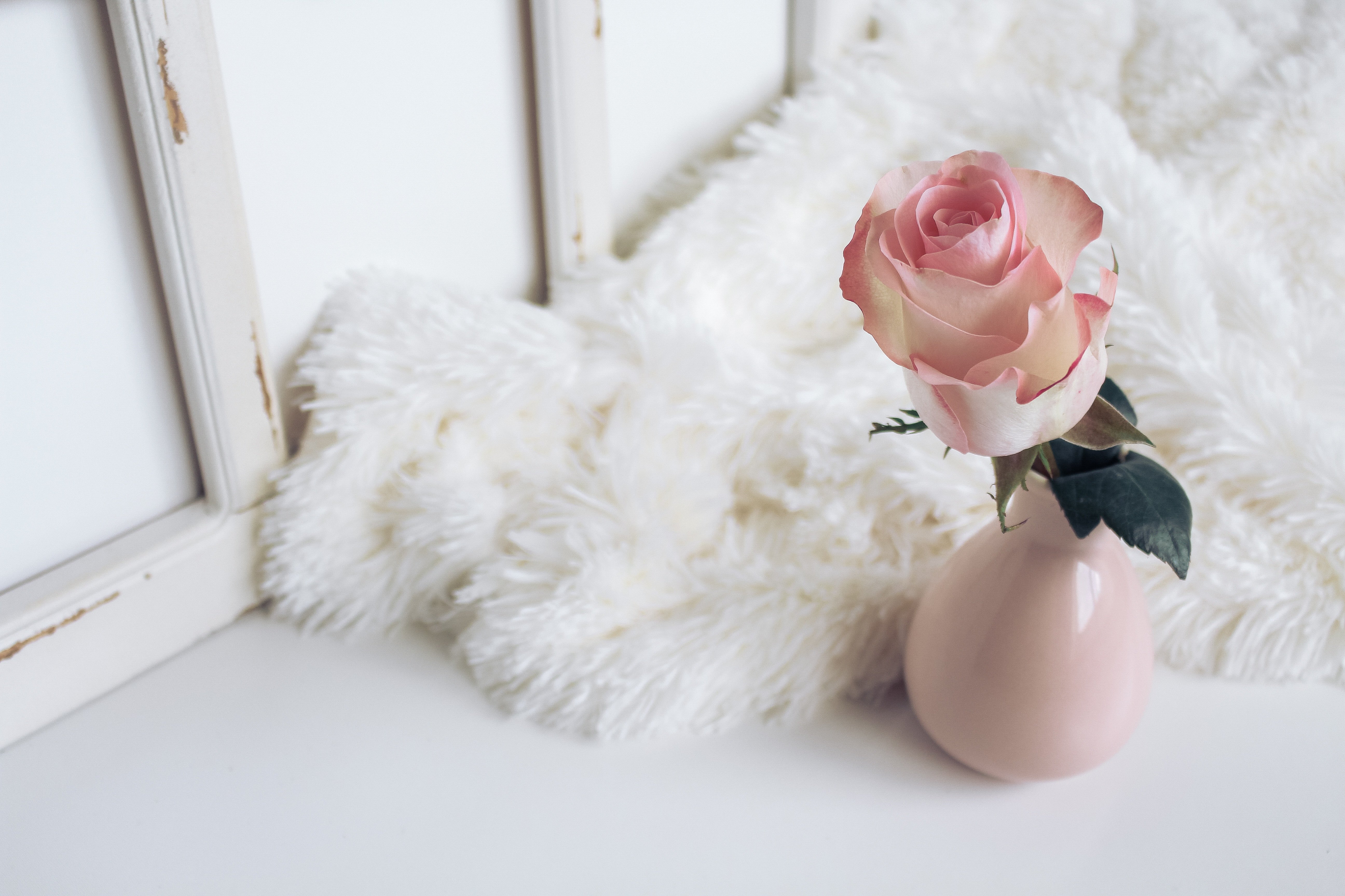 Blog banner Image